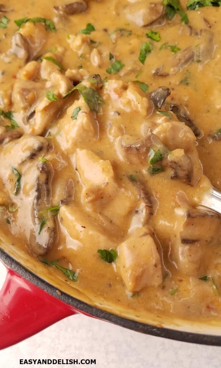 Pork Stroganoff - Easy and Delish