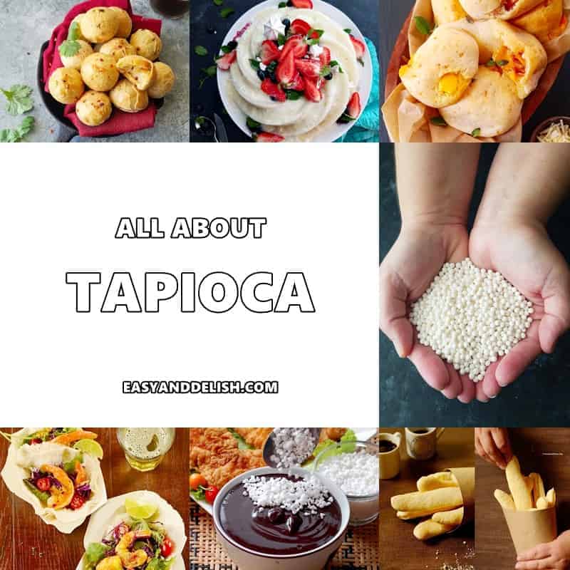 What Is Tapioca and How to Use It