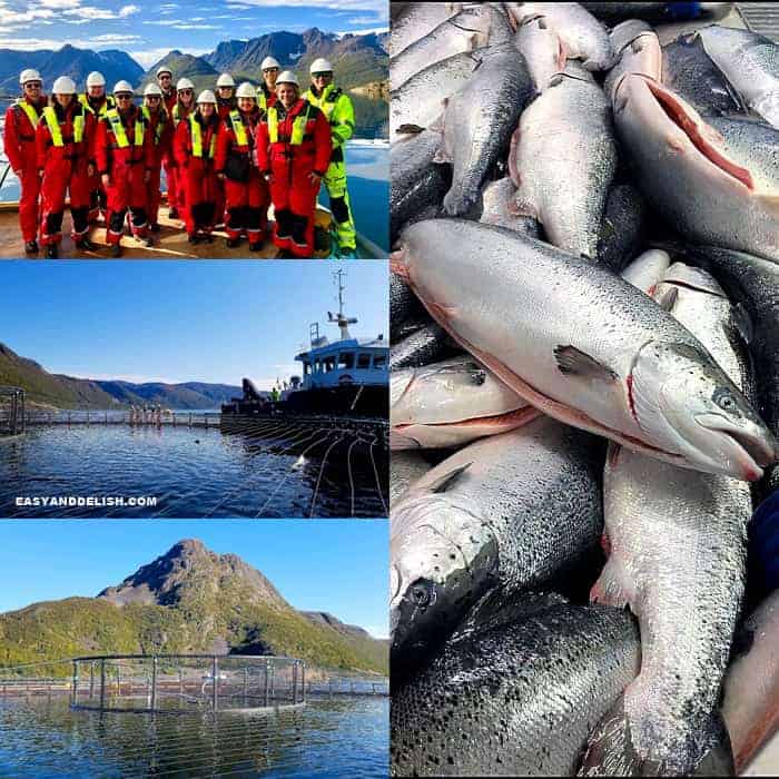 Fiskesuppe (Norwegian Fish Soup) - Fearless Eating