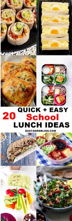 Back to School Kids Lunch Ideas - Easy and Delish