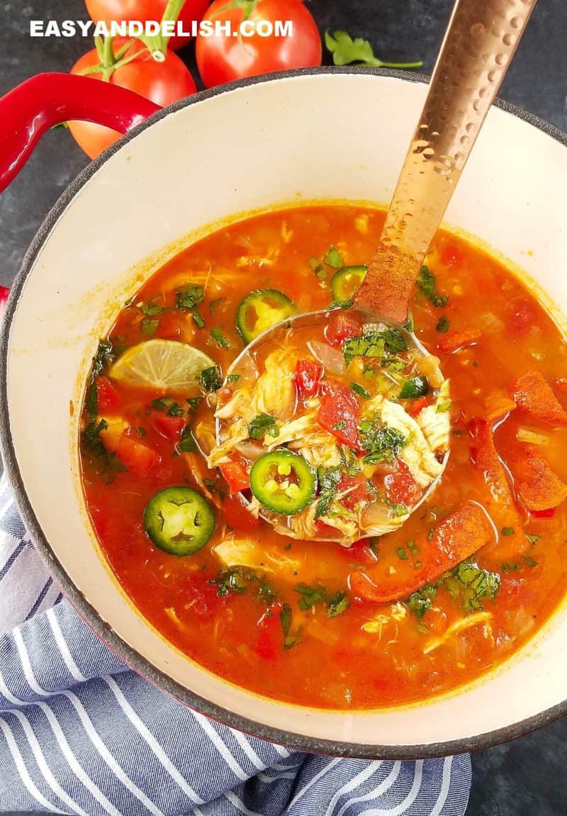 weight-watchers-chicken-tortilla-soup-instant-pot-easy-and-delish