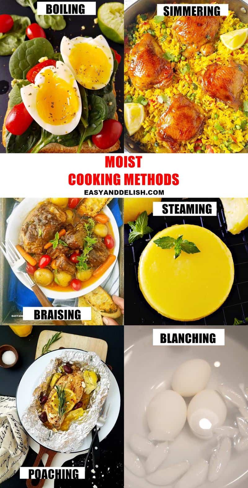 photo collage showing 6 moist heat cooking methods