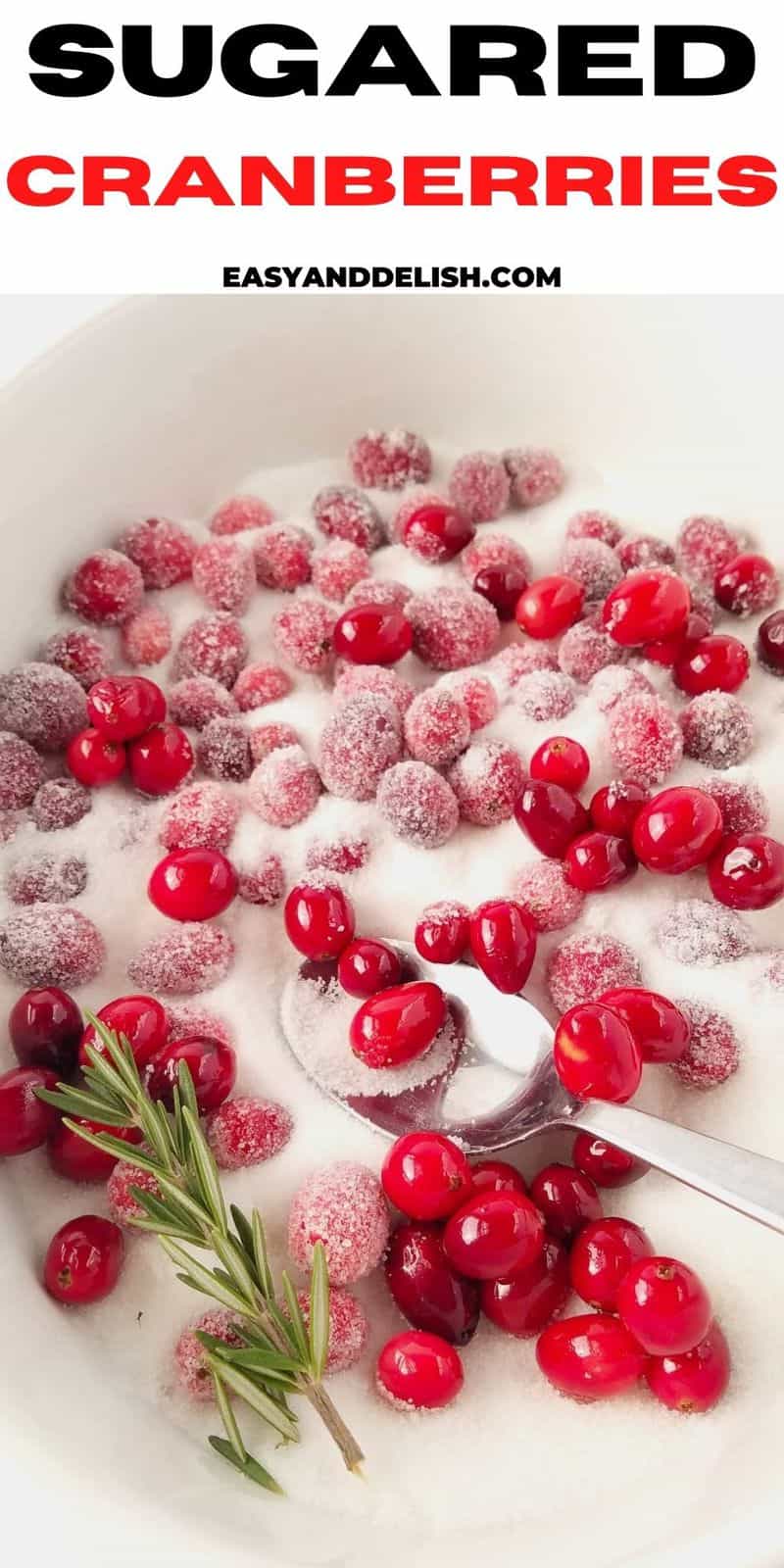 Sugared Cranberries - Easy And Delish