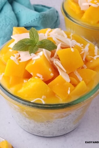 https://www.easyanddelish.com/wp-content/uploads/2023/09/Mango-coconut-chia-pudding-featured-340x510.jpg