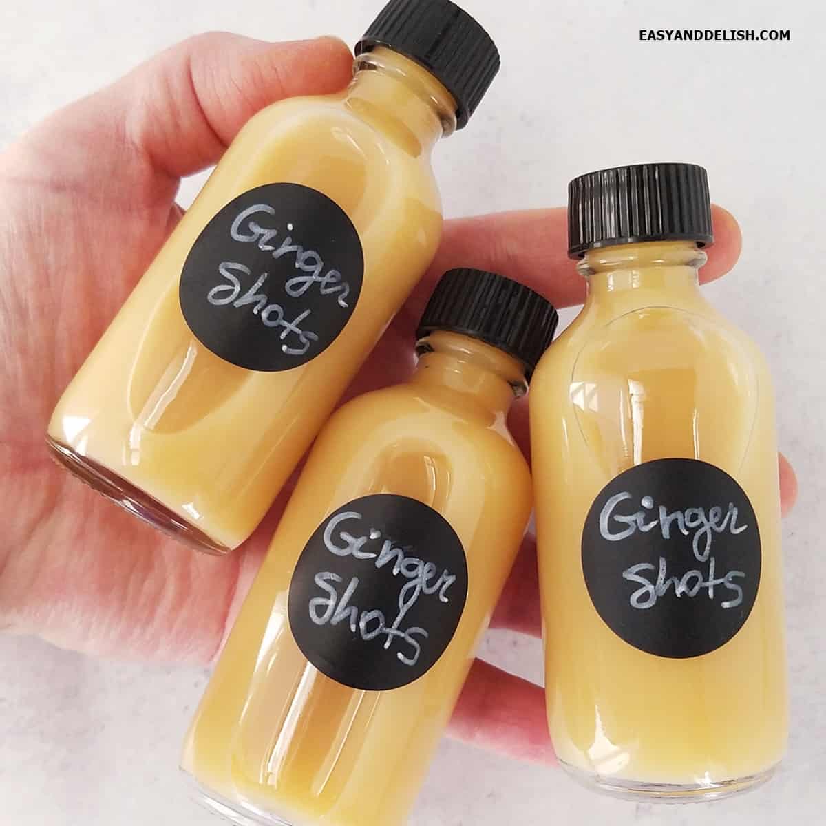 Lemon Ginger Shot - Easy Wellness Shot - Champagne Tastes®