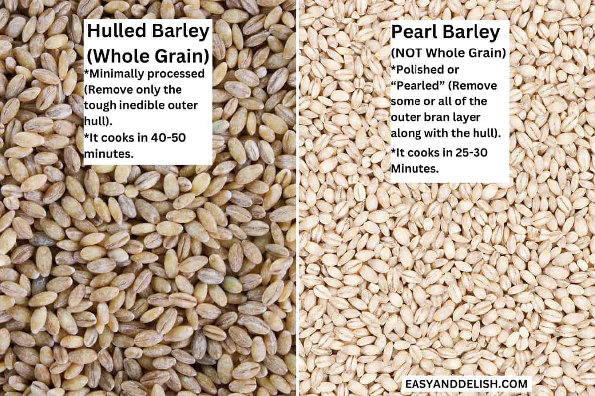 Collage showing dried hulled barley on the left and dry pearl barley on the right. 