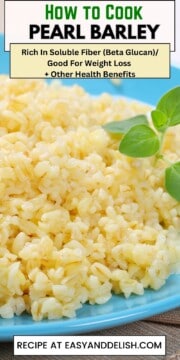 Close up pin showing cooked pearl barley in a plate.