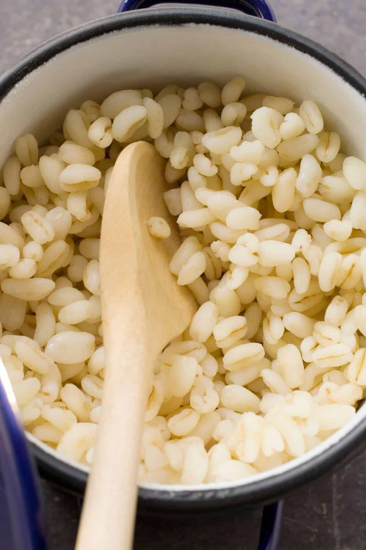 Cooking pearl barley in a pot on the stovetop. 